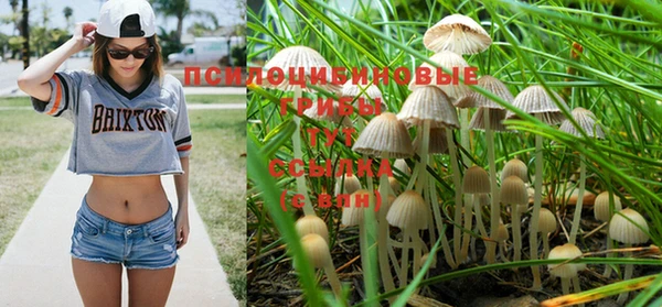 наркотики Абинск