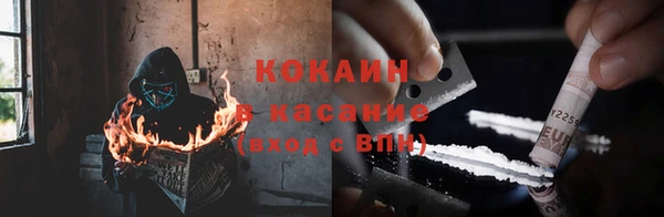 ГАЛЛЮЦИНОГЕННЫЕ ГРИБЫ Алексин