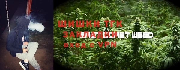 ПСИЛОЦИБИНОВЫЕ ГРИБЫ Алексеевка