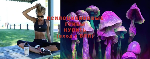 ГАЛЛЮЦИНОГЕННЫЕ ГРИБЫ Алексин