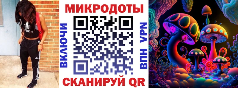 Псилоцибиновые грибы Psilocybe  Приволжский 